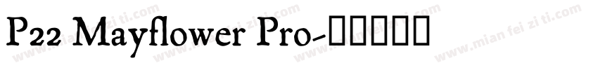 P22 Mayflower Pro字体转换